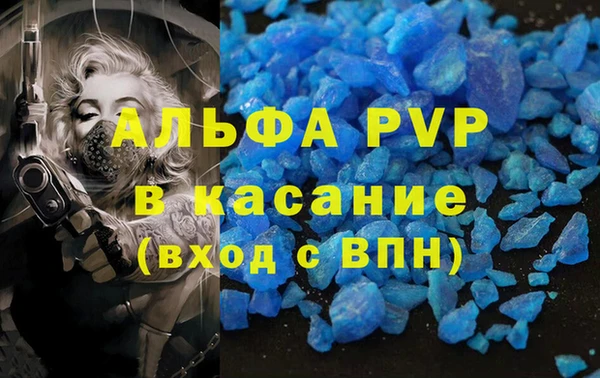 дживик Верхний Тагил