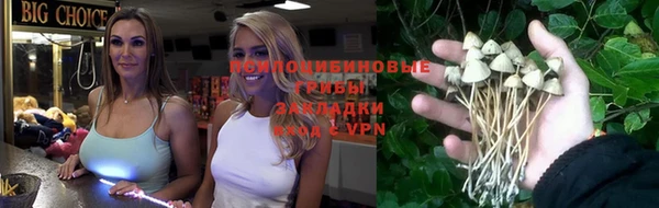 дживик Верхний Тагил