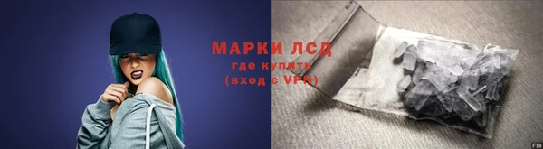 дживик Верхний Тагил